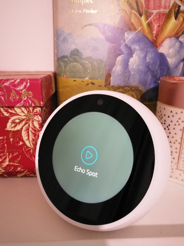 Tutoriel Installer un  Echo ou Dot – Les Alexiens