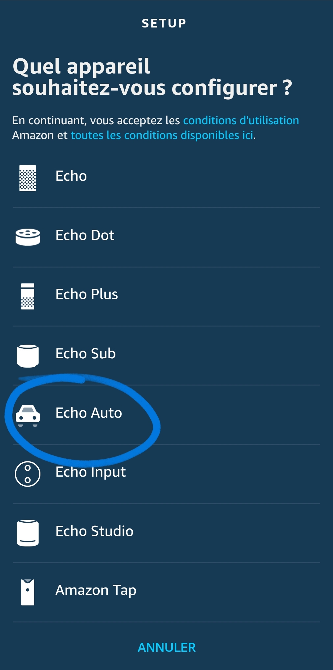 L' Echo Auto enregistre déjà un nombre impressionnant de précommandes