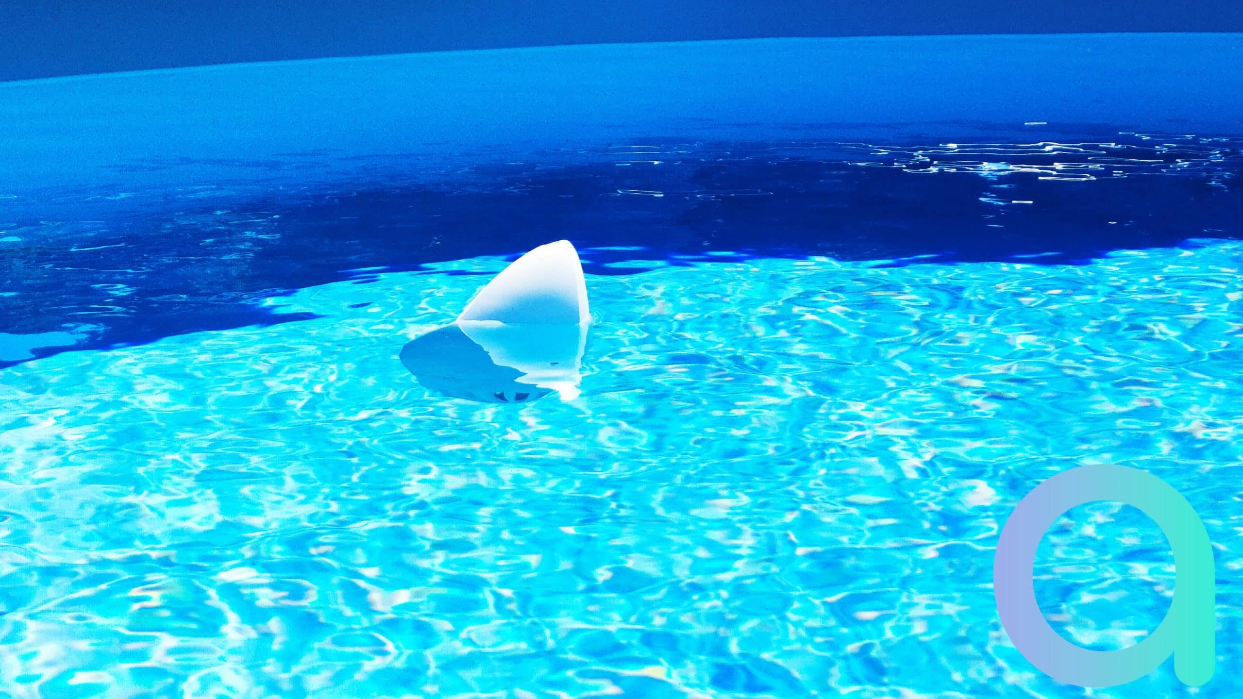 Flipr, l'objet connecté qui analyse l'eau de la piscine à votre place