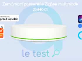 Test Zemismart ZMHK-01 : une passerelle ZigBee Tuya compatible HomeKit –  Les Alexiens