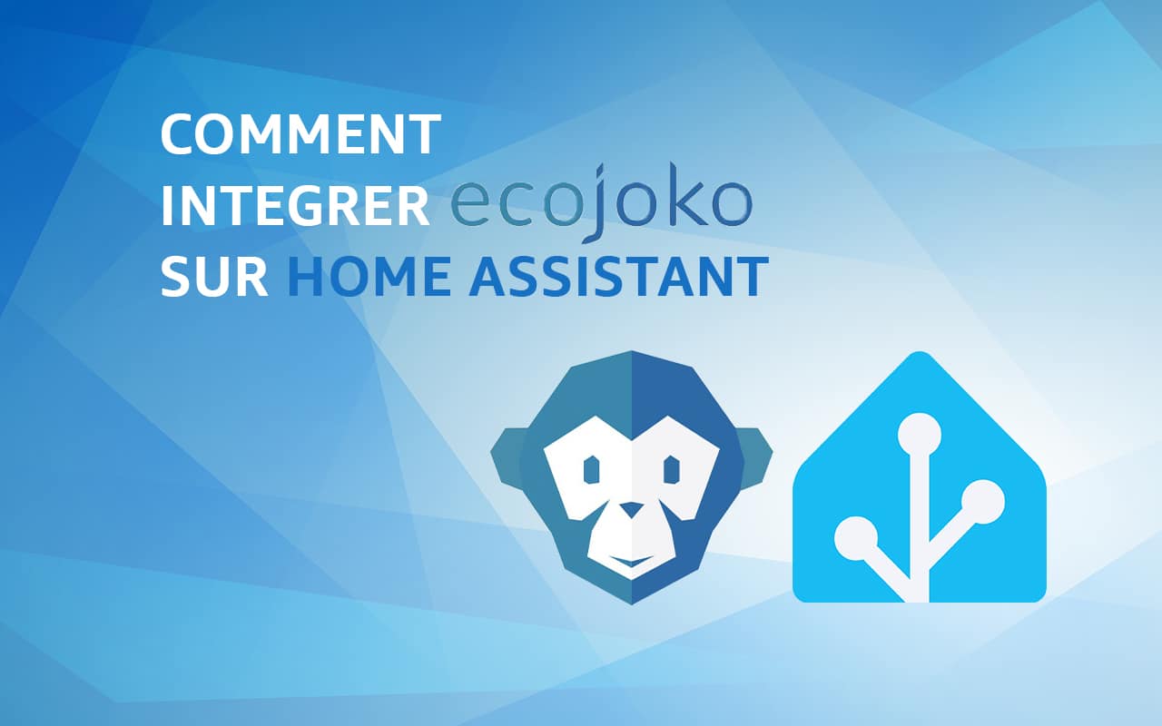 Assistant connecté d'économie d'énergie Ecojoko - Pour compteur Linky